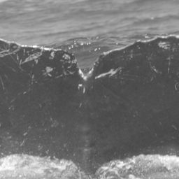 Fluke of CRC-15042