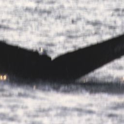 Fluke of BREE-HB14_58