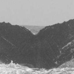 Fluke of CRC-12470