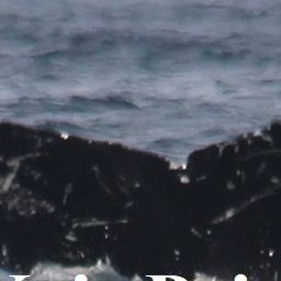 Fluke of NA-6923