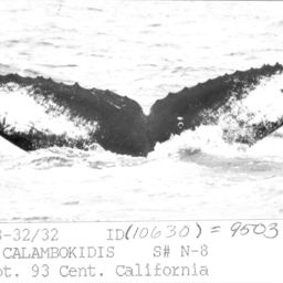 Fluke of CRC-9503