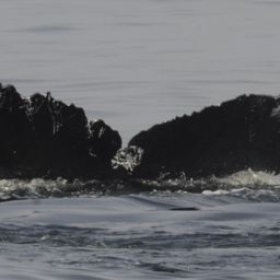 Fluke of CRC-18389