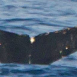 Fluke of HW-MN1301273