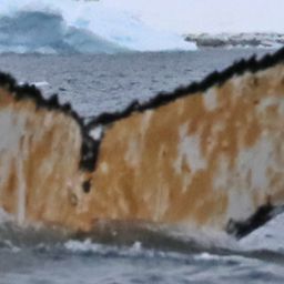 Fluke of HW-MN1301279