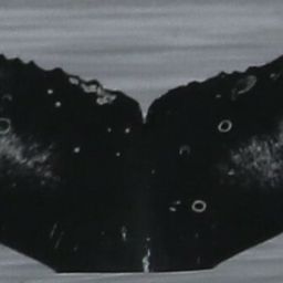 Fluke of CRC-18086