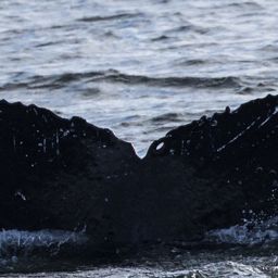 Fluke of Bubbles