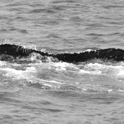 Fluke of BCX1027