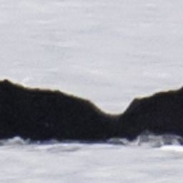 Fluke of HW-MN0440991