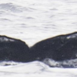 Fluke of HW-MN0440997
