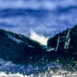 Fluke of HW-MN0441019