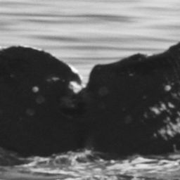 Fluke of CRC-10306