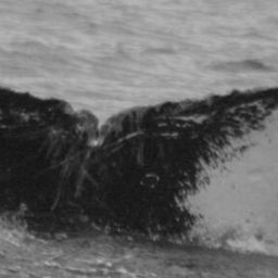 Fluke of HW-MN0300127