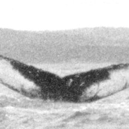 Fluke of NA-3050