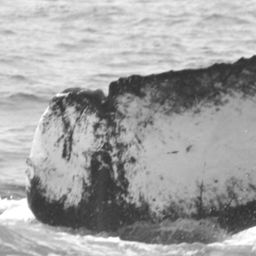 Fluke of CRC-12432