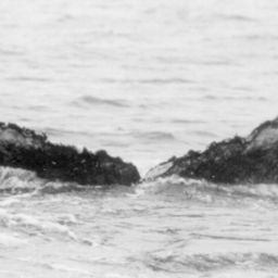 Fluke of NA-3181