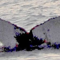 Fluke of NA-3204