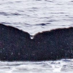 Fluke of BCY0197