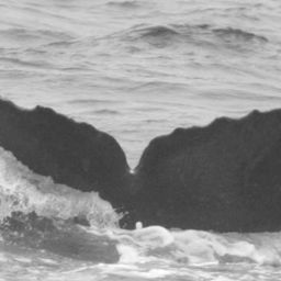 Fluke of CRC-10128
