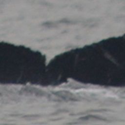 Fluke of CRC-12519