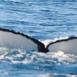 Fluke of CRC-17301