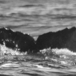 Fluke of CRC-17464