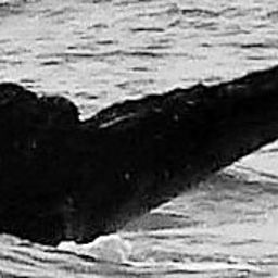 Fluke of HW-MN0441051