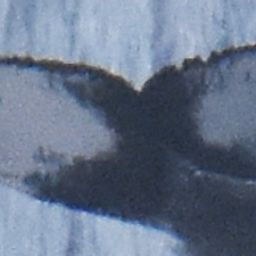 Fluke of HW-MN0441061