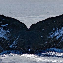 Fluke of HW-MN0441115