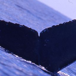 Fluke of M