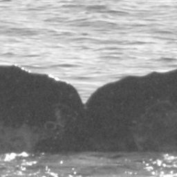 Fluke of CRC-11762