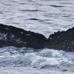 Fluke of Hurricane