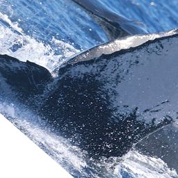 Fluke of PWF-NP_1238