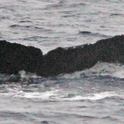 Fluke of SEAK-2397