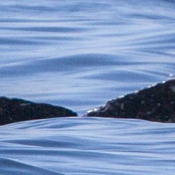 Fluke of CRC-18143