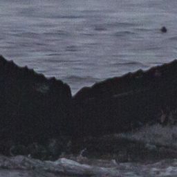 Fluke of CRC-13789