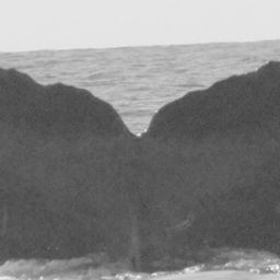 Fluke of CRC-10556