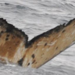 Fluke of HW-MN1301594
