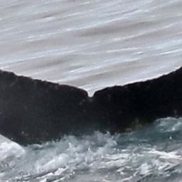 Fluke of HW-MN1301615