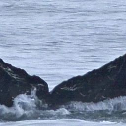 Fluke of HW-MN0400542