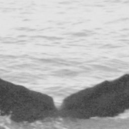 Fluke of CRC-15078