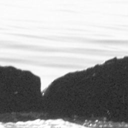 Fluke of CRC-10061