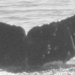 Fluke of CRC-12095