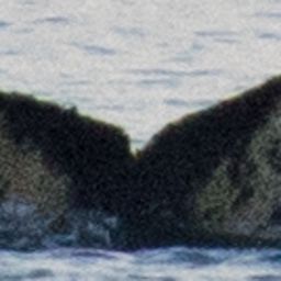 Fluke of HW-MN1301693
