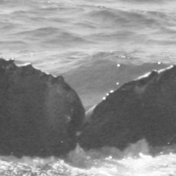 Fluke of CRC-11624