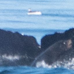 Fluke of CRC-10079