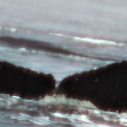Fluke of Grizzly