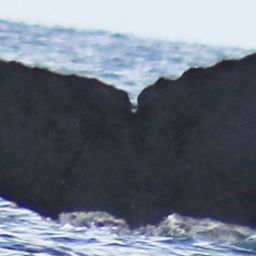 Fluke of CRC-11734