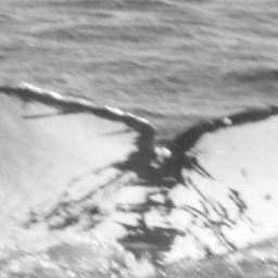 Fluke of CRC-11673