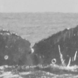 Fluke of CRC-10871