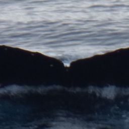 Fluke of HW-MN1301830